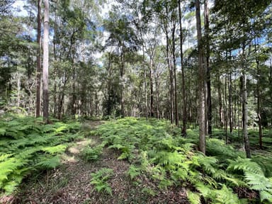 Property 475 Verrierdale Road, Verrierdale QLD 4562 IMAGE 0