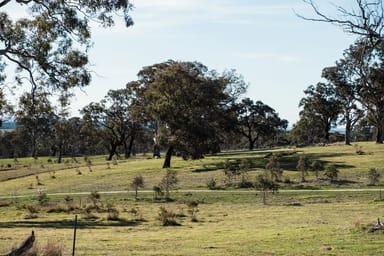 Property 175 Woodbury Drive, Sutton NSW 2620 IMAGE 0