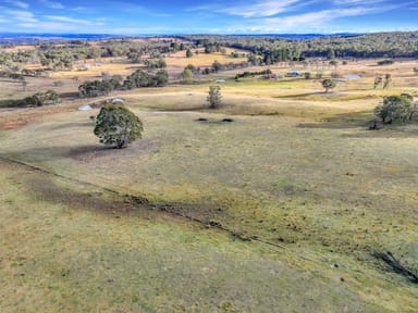 Property Lot 337 Bucky Springs Road, BOMBALA NSW 2632 IMAGE 0