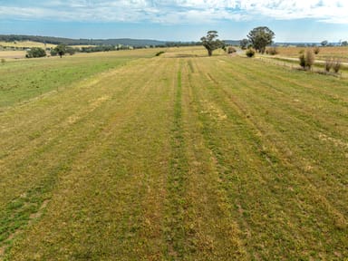 Property 516 Peabody Road, Molong NSW 2866 IMAGE 0