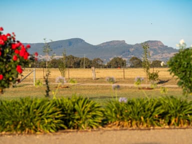 Property 464 Dights Forest Rd, Jindera NSW 2642 IMAGE 0