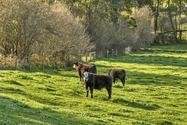 Property Lot 1 Korumburra - Warragul Road, WARRAGUL SOUTH VIC 3821 IMAGE 0