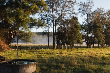 Property 912 Round Mountain Road, Reserve Creek NSW 2484 IMAGE 0