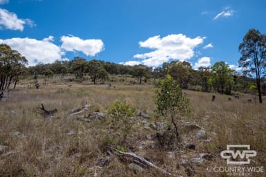 Property 1, 61, 4108 Tent Hill Road, EMMAVILLE NSW 2371 IMAGE 0