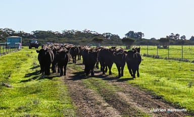 Property Lot 11 Corner of Bootine Road & Brand Highway, Beermullah WA 6503 IMAGE 0