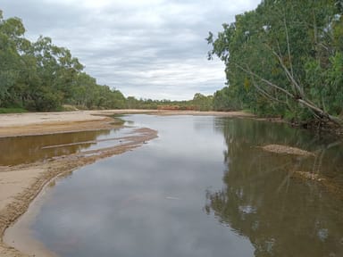 Property TORRENS CREEK QLD 4816 IMAGE 0
