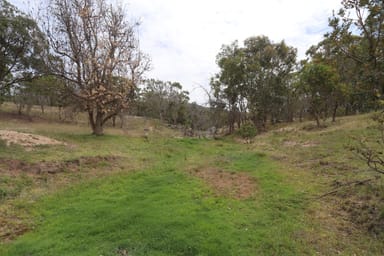 Property Lot 1717 Old Stanthorpe Road, Cherry Gully QLD 4370 IMAGE 0