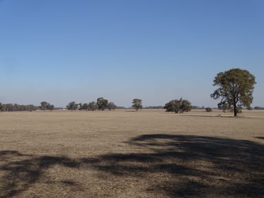 Property 351 Tattersalls Lane, MOORMBOOL WEST VIC 3523 IMAGE 0