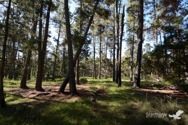 Property Lot 144 Blackbutt Road, Sugarloaf QLD 4380 IMAGE 0