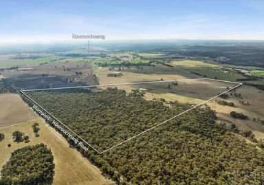 Property 46 Wilsons Road, Kooroocheang VIC 3364 IMAGE 0