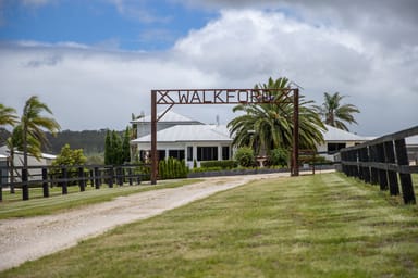 Property "Walkford" 503 Jack Smith Gully Road, Freestone QLD 4370 IMAGE 0