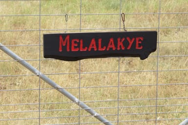 Property 3433 Allan Cunningham Road, Warialda NSW 2402 IMAGE 0