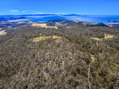 Property "Mundys" 475 Saltwater River Road, SALTWATER RIVER TAS 7186 IMAGE 0