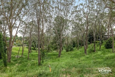 Property RANGEVILLE QLD 4350 IMAGE 0