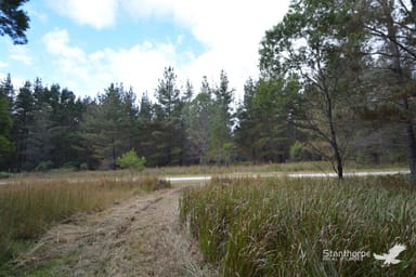 Property 222, Sunrise Road, Sugarloaf QLD 4380 IMAGE 0