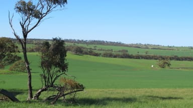 Property Wongamine Goomalling-Toodyay, Goomalling WA 6460 IMAGE 0