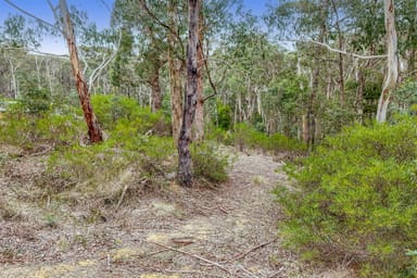 Property 78 Cowans Drive, Dales Creek VIC 3341 IMAGE 0