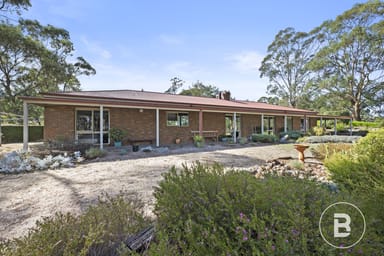 Property 16 Gear Avenue, Mount Helen VIC 3350 IMAGE 0