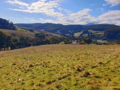 Property Lot 5 Wallace Road, CYGNET TAS 7112 IMAGE 0