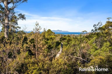 Property 210 & 214 Bresnehans Road, Little Swanport TAS 7190 IMAGE 0