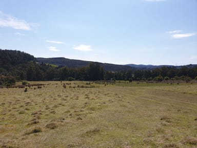 Property Lot 1 Costains Road, GEEVESTON TAS 7116 IMAGE 0