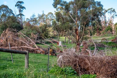 Property 8 Ogilvie Street, Mirboo North VIC 3871 IMAGE 0