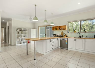 Property 13 Rainforest Drive, Mitchells Island NSW 2430 IMAGE 0