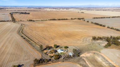 Property 199 Olney-Zass Road, BERRIWILLOCK VIC 3531 IMAGE 0