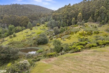 Property 135 Longeys Road, Birchs Bay TAS 7162 IMAGE 0