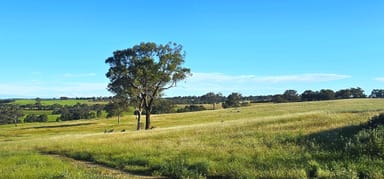 Property 20 Lacey Place, YOUNG NSW 2594 IMAGE 0