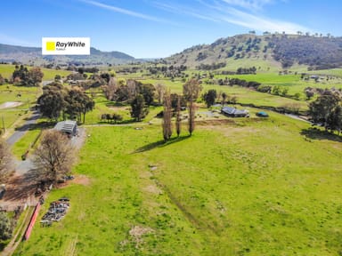 Property 456 Grahamstown Road, Adelong NSW 2729 IMAGE 0