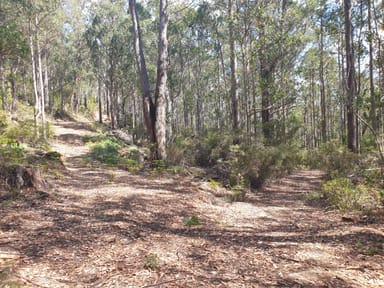 Property Lot 1 Halls Track Road, PELVERATA TAS 7150 IMAGE 0