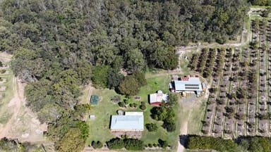 Property 154 Foleys Road, NORTH GREGORY QLD 4660 IMAGE 0