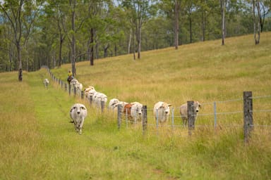 Property 238 Blacksnake Road, Black Snake QLD 4600 IMAGE 0