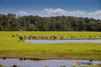 Property 1109 Princes Highway, MOGO NSW 2536 IMAGE 0