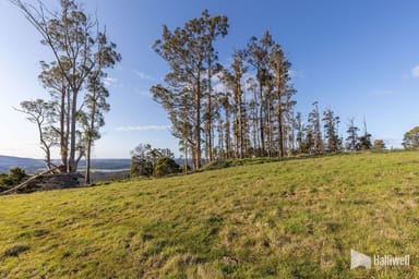 Property Maloneys Road, Sunnyside TAS 7305 IMAGE 0