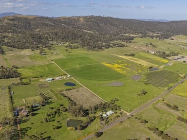 Property 792 Middle Tea Tree Road, Tea Tree TAS 7017 IMAGE 0
