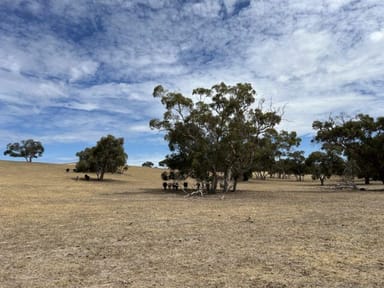 Property Lot 189 and 323 Roy Lawries Road, Lochaber SA 5271 IMAGE 0