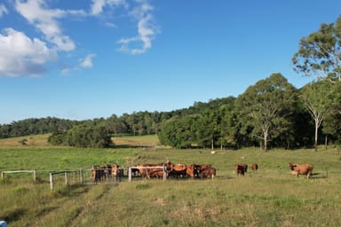 Property 170 Mountney Rd, SARINA QLD 4737 IMAGE 0