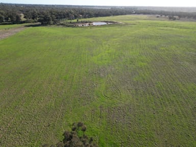 Property 'Kanembo' 13166 Newell Highway, WEST WYALONG NSW 2671 IMAGE 0