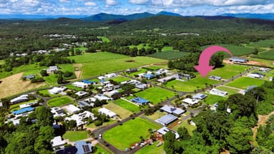 Property 19 Nautilus Street, Mission Beach QLD 4852 IMAGE 0