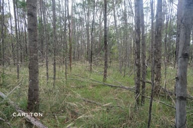 Property Lot 1 Old Hume Highway, Alpine NSW 2575 IMAGE 0