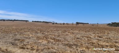 Property 94 Tingelup Road, Porongurup WA 6324 IMAGE 0