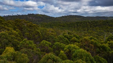 Property 1166 Prossers Road, Underwood TAS 7268 IMAGE 0