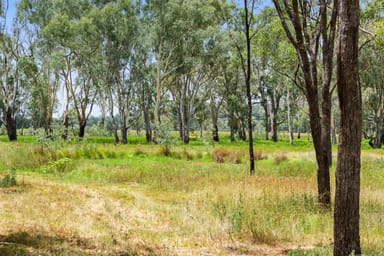 Property "Keheler Park" Lot89 Springate Lane, Pratten QLD 4370 IMAGE 0