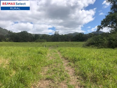 Property 1332 Calen Mount Charlton Road, MOUNT CHARLTON QLD 4741 IMAGE 0