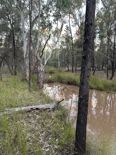 Property Weranga QLD 4405 IMAGE 0