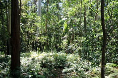 Property 1 Peachester Road, Beerwah QLD 4551 IMAGE 0