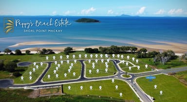 Property SHOAL POINT QLD 4750 IMAGE 0