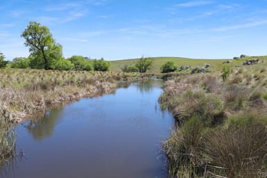 Property Lot 206 Delegate Road, DELEGATE NSW 2633 IMAGE 0